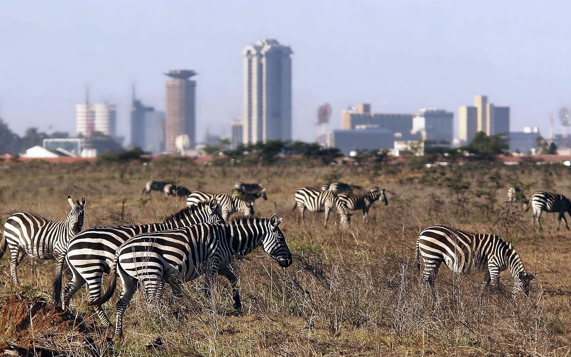 Nairobi-national-Park