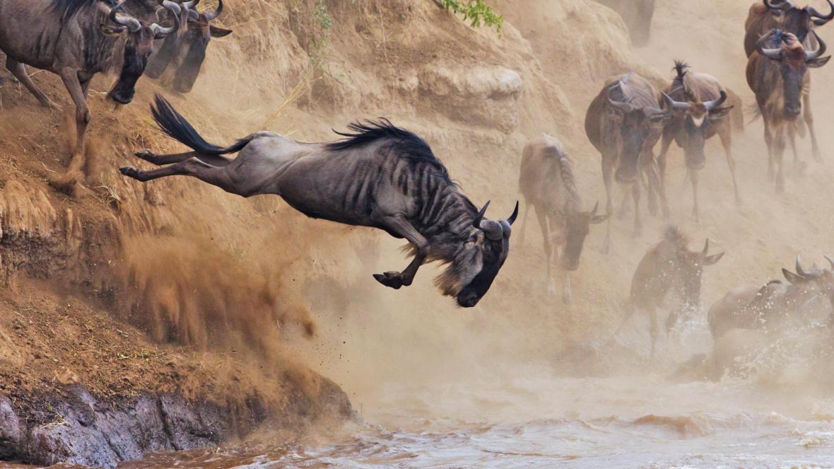 The-Great-Wildebeest-Migration