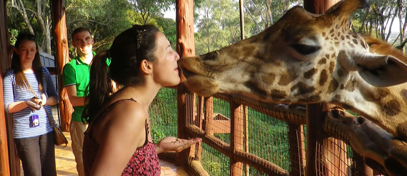 nairobi-city-tours-short-excursion